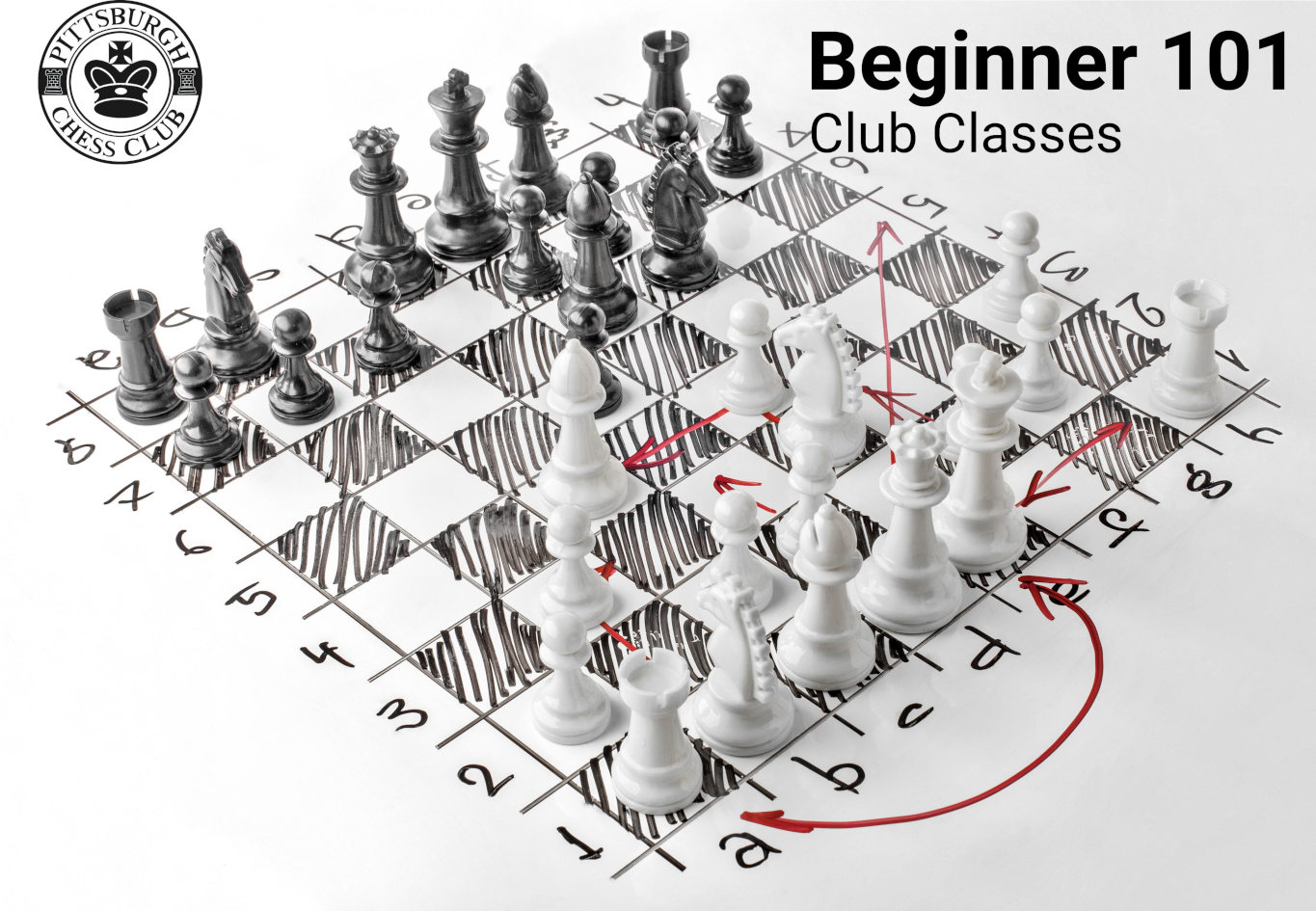 Visualization of January FIDE ratings 